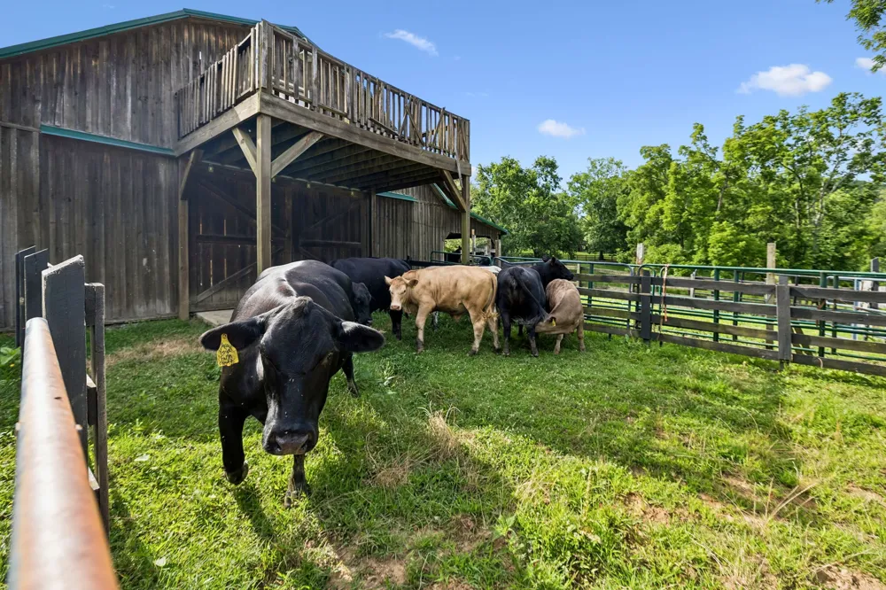 2671 Sanford Rd Nolensville, TN 37135