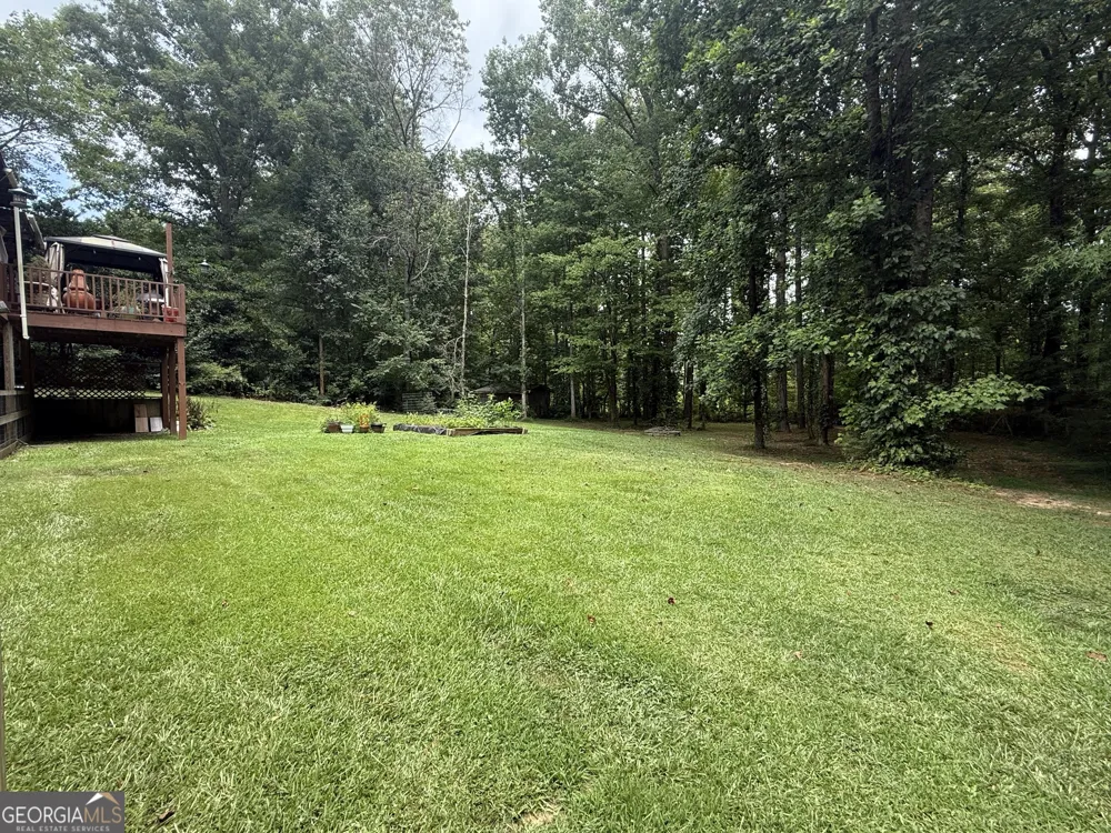 145 London LN Sharpsburg, GA 30277