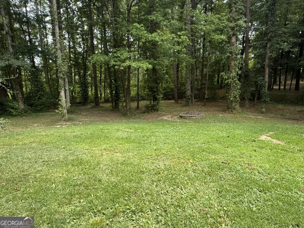 145 London LN Sharpsburg, GA 30277