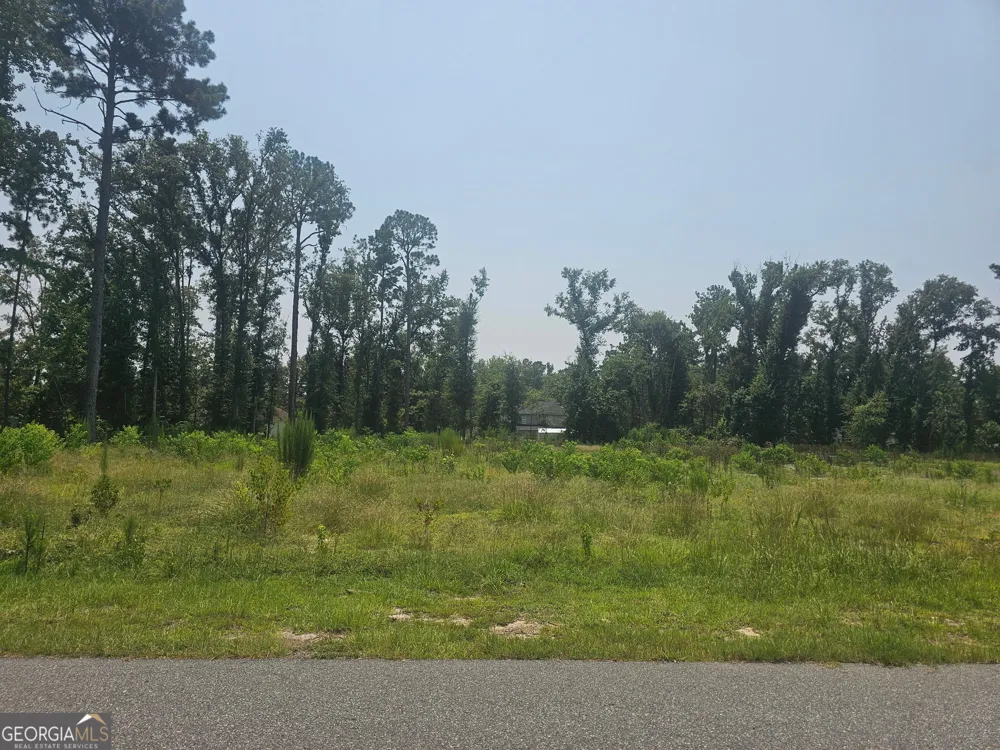 0 Chesley DR Vidalia, GA 30474