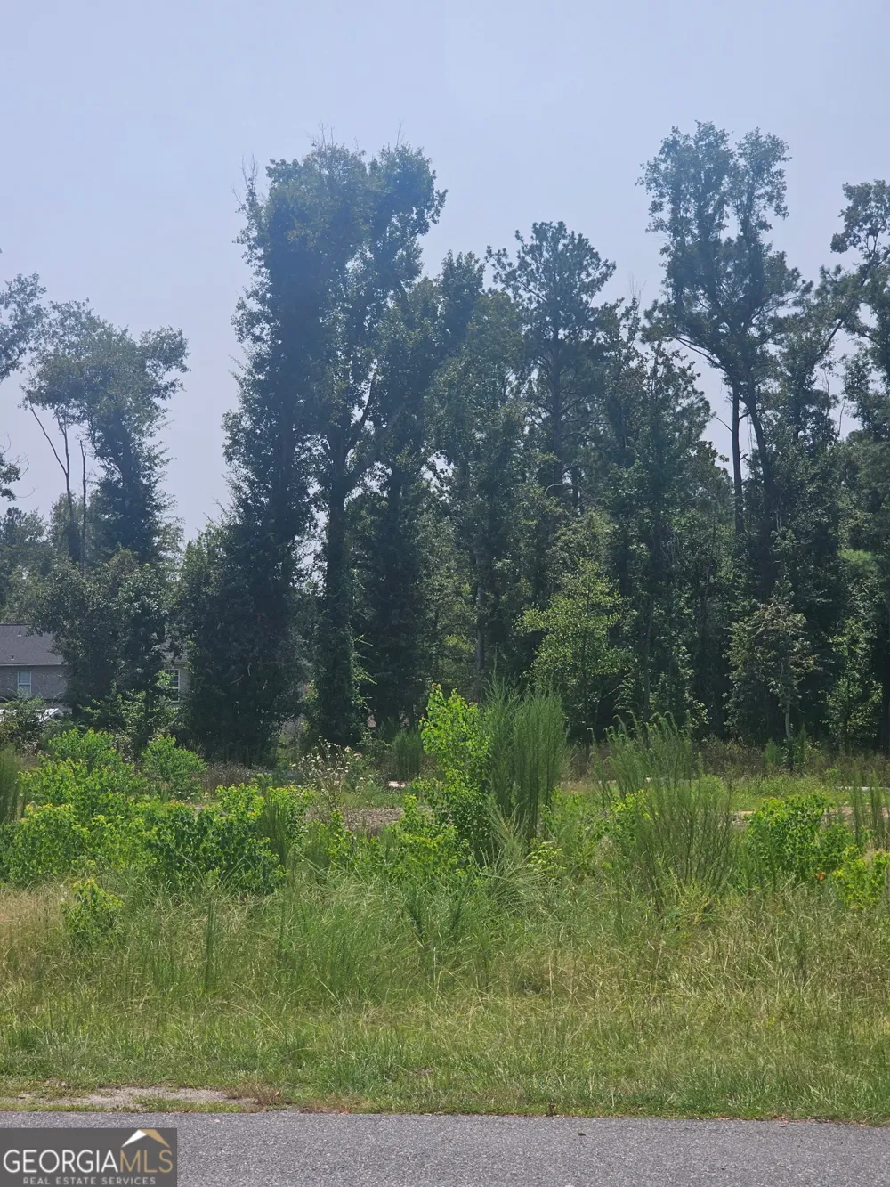 0 Chesley DR Vidalia, GA 30474