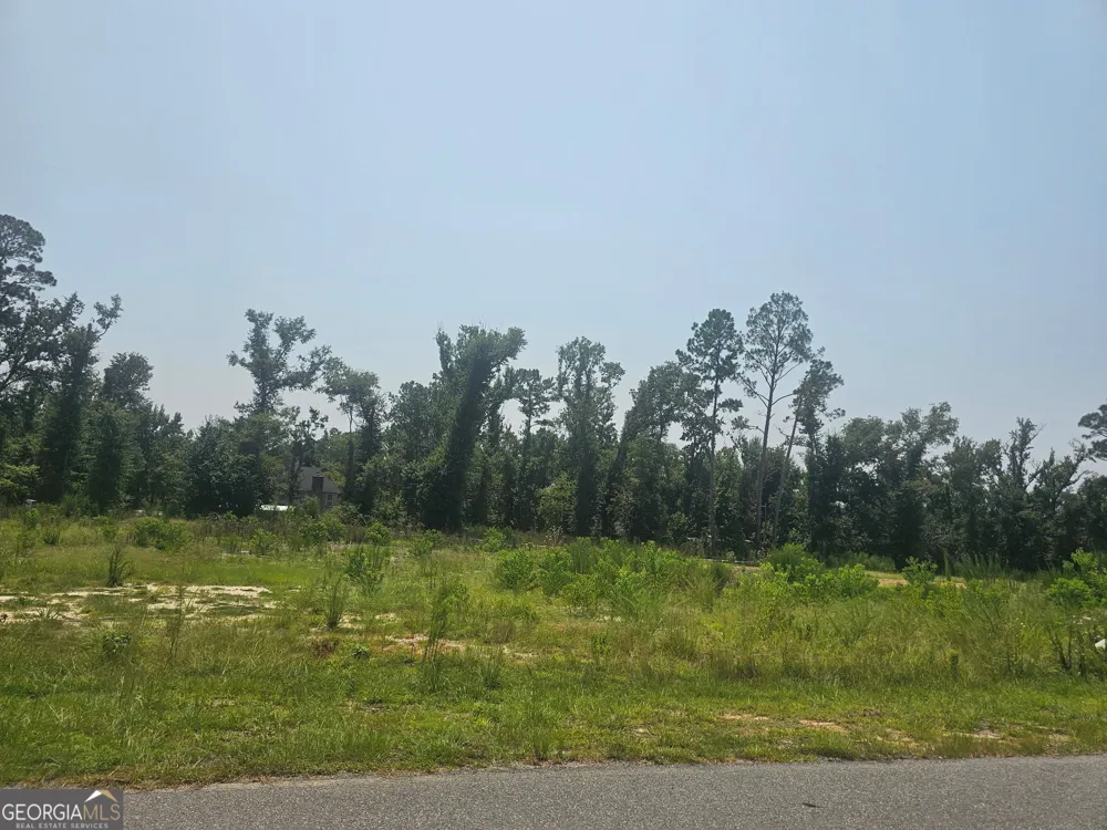 0 Chesley DR Vidalia, GA 30474