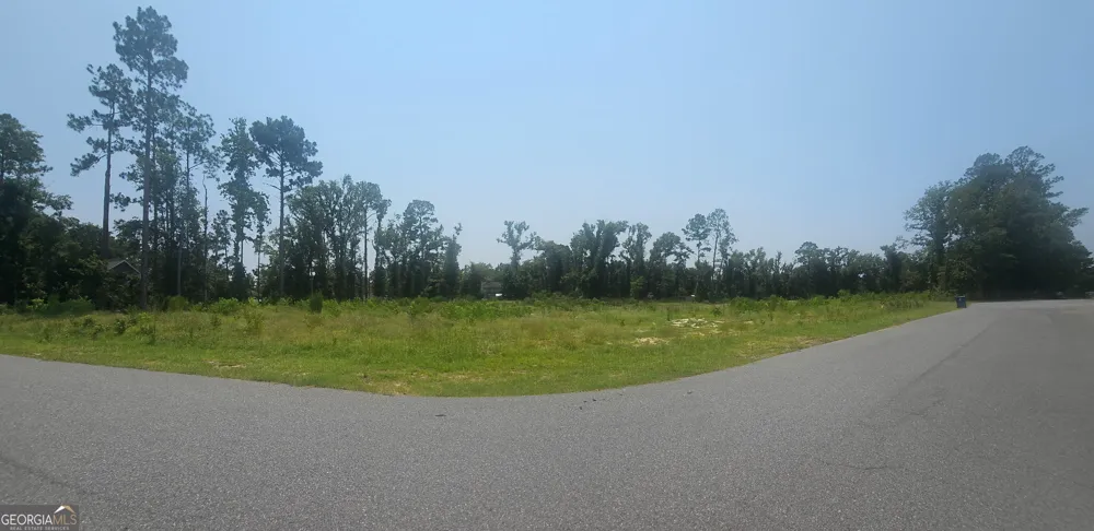 0 Chesley DR Vidalia, GA 30474