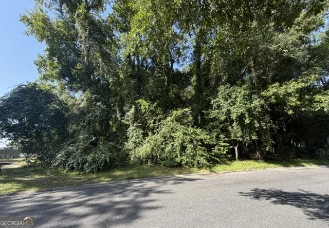 1112 Birdsong TRL St. Marys, GA 31558