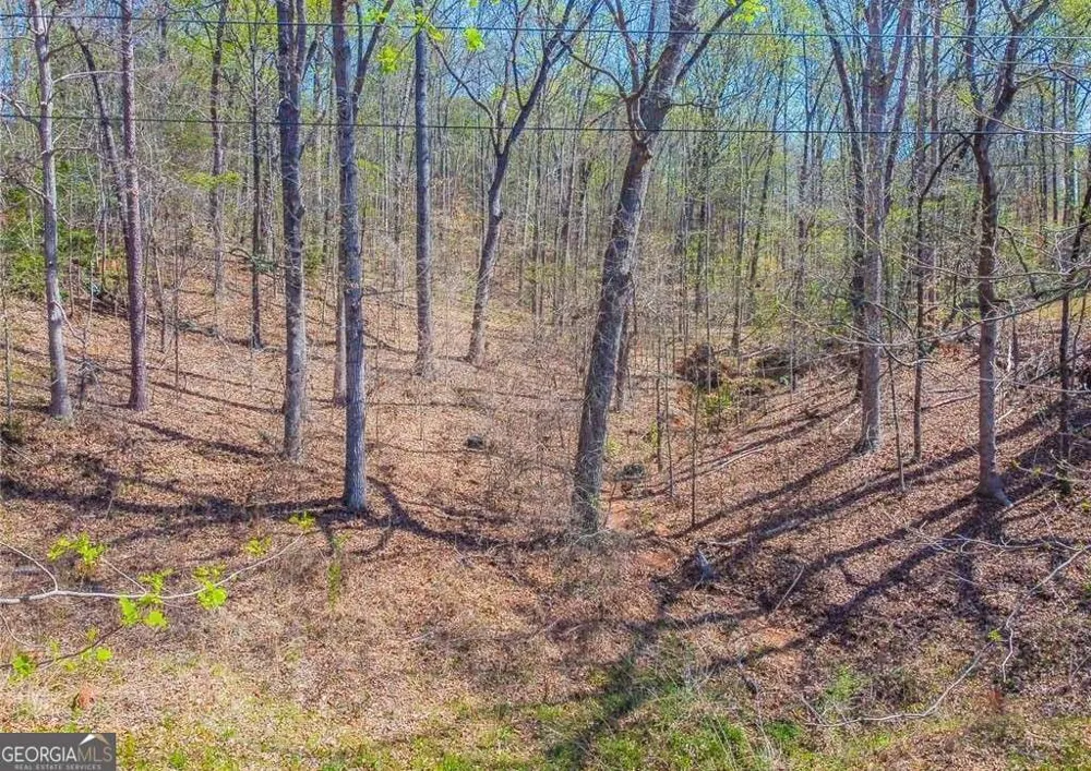 0 Arrow LN Lavonia, GA 30553