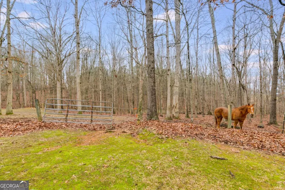 630 Stoney Point RD Bowdon, GA 30108