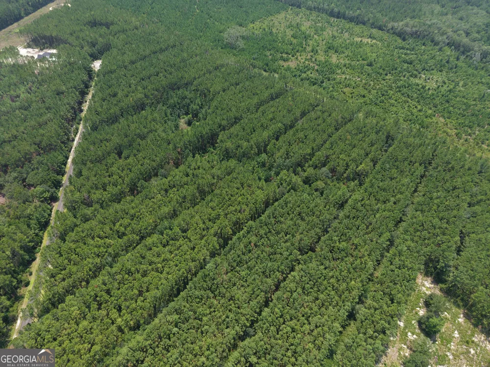 LOT 69 Magnolia Plantation White Oak, GA 31568
