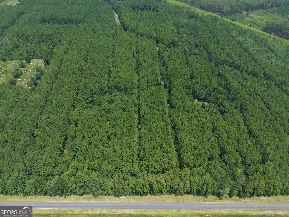 LOT 69 Magnolia Plantation White Oak, GA 31568