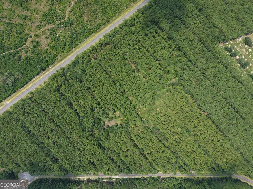 LOT 69 Magnolia Plantation White Oak, GA 31568