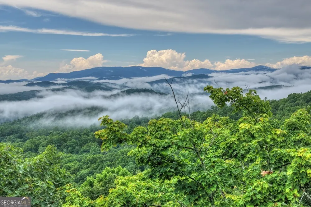 1138 Douglas Mountain TRL Ellijay, GA 30540