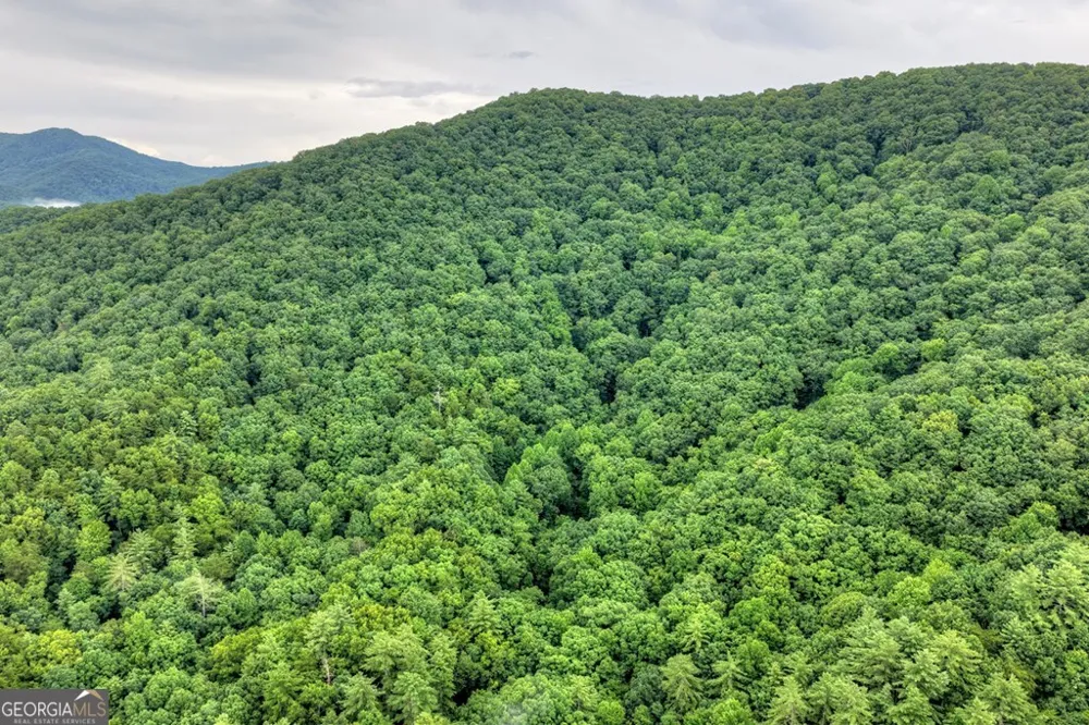 1138 Douglas Mountain TRL Ellijay, GA 30540