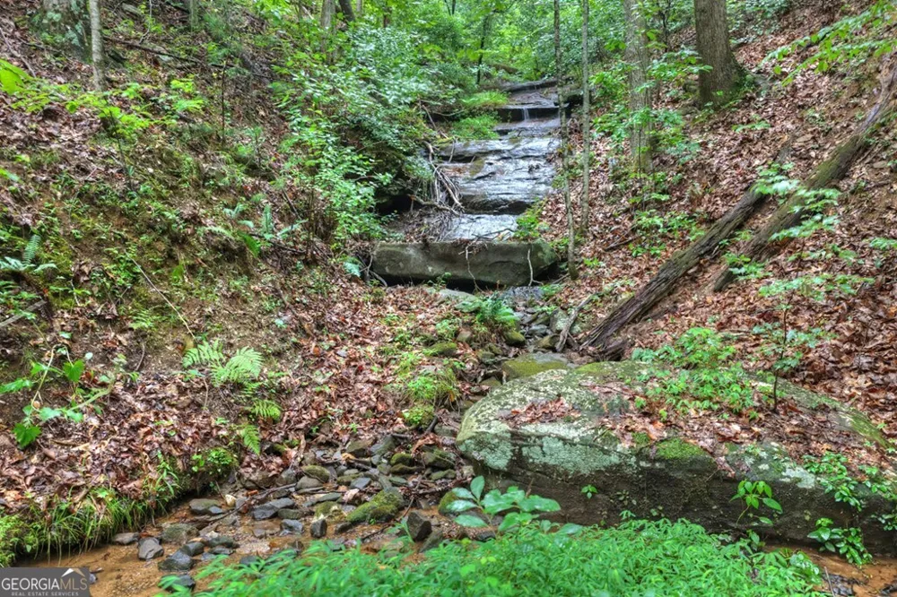1138 Douglas Mountain TRL Ellijay, GA 30540