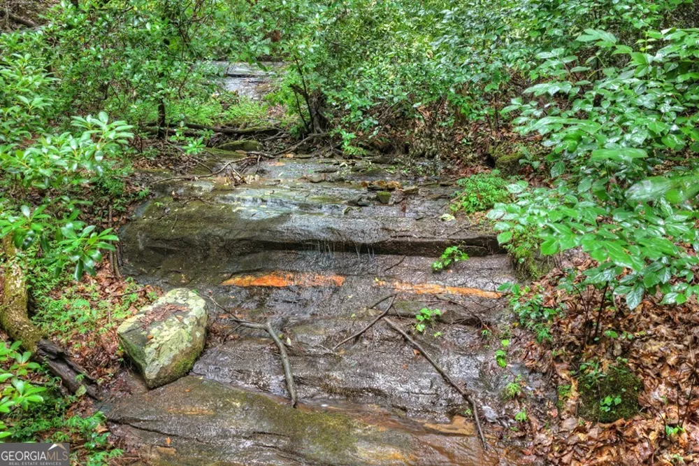 1138 Douglas Mountain TRL Ellijay, GA 30540