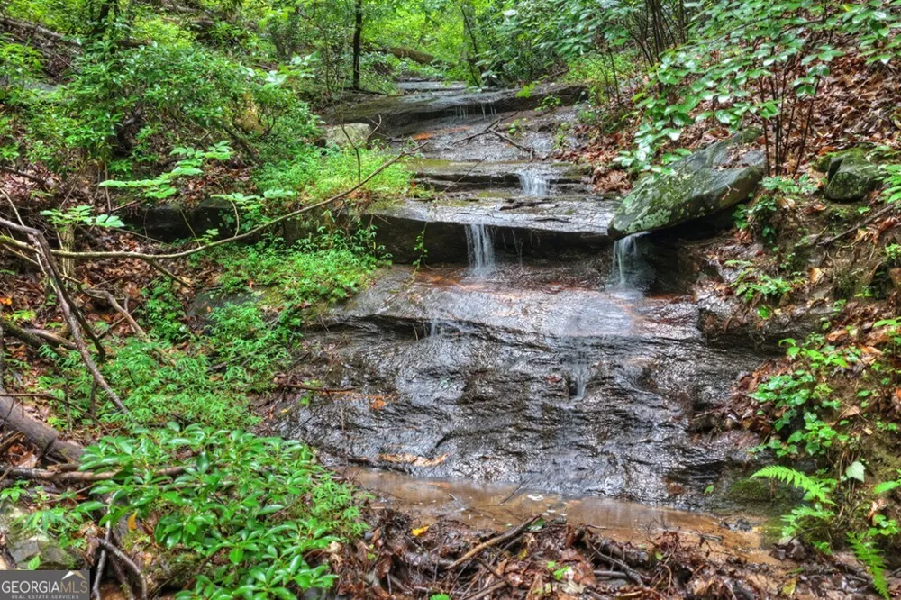 1138 Douglas Mountain TRL Ellijay, GA 30540