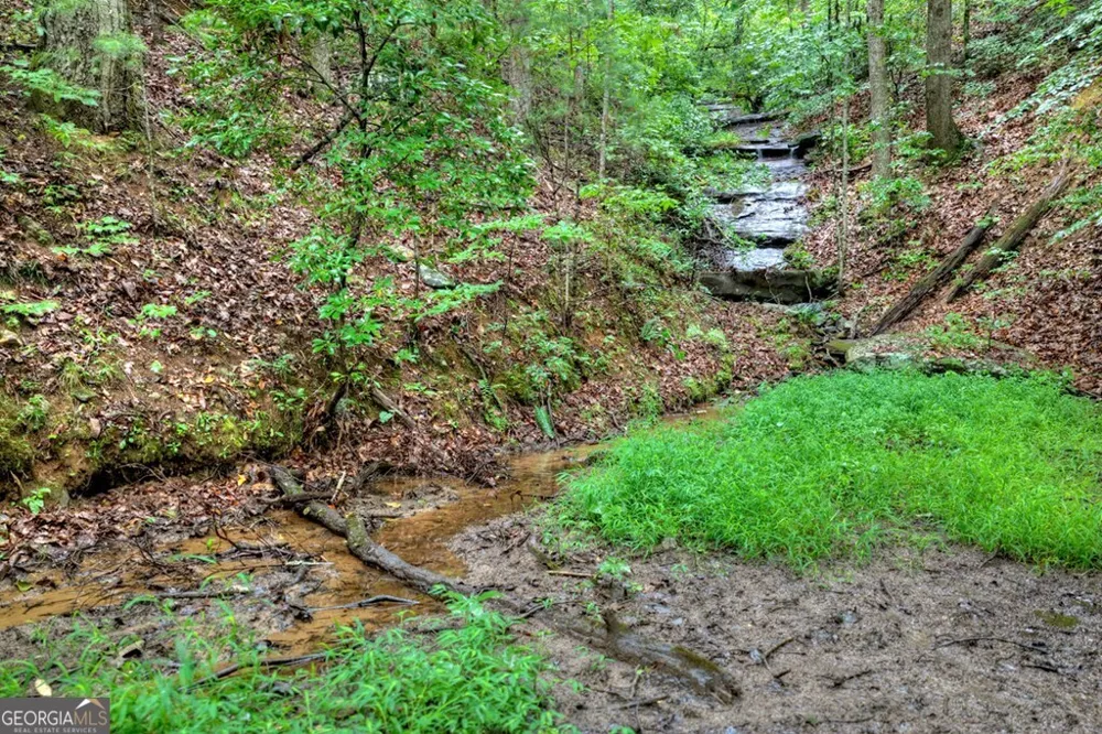 1138 Douglas Mountain TRL Ellijay, GA 30540