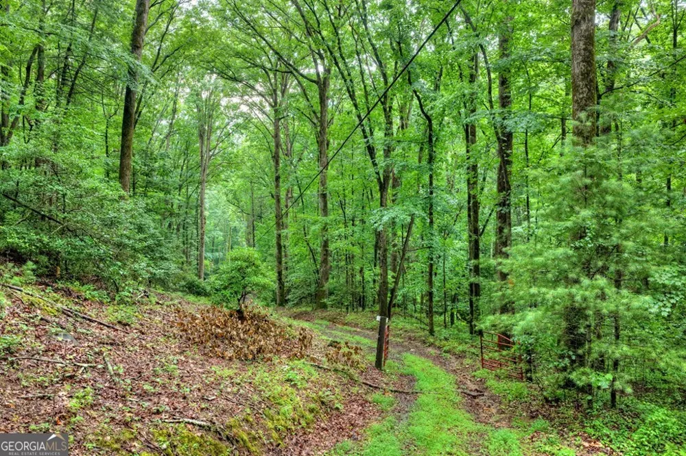1138 Douglas Mountain TRL Ellijay, GA 30540