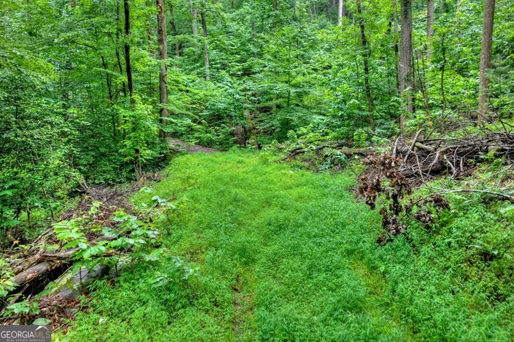 1138 Douglas Mountain TRL Ellijay, GA 30540