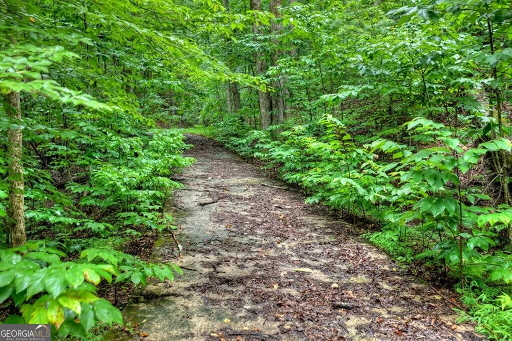 1138 Douglas Mountain TRL Ellijay, GA 30540