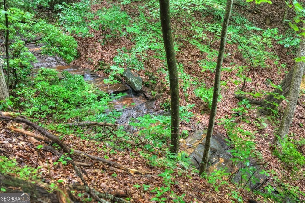 1138 Douglas Mountain TRL Ellijay, GA 30540