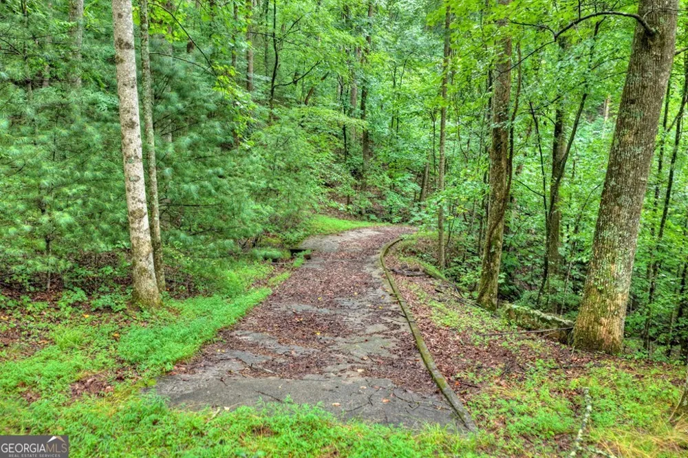 1138 Douglas Mountain TRL Ellijay, GA 30540