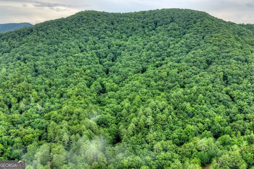 1138 Douglas Mountain TRL Ellijay, GA 30540