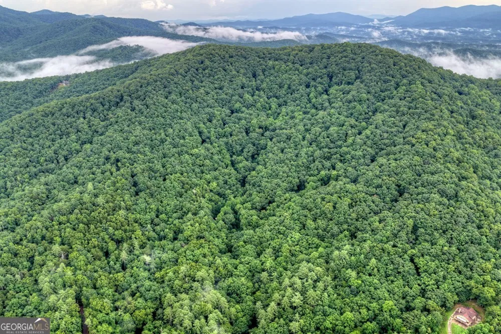 1138 Douglas Mountain TRL Ellijay, GA 30540