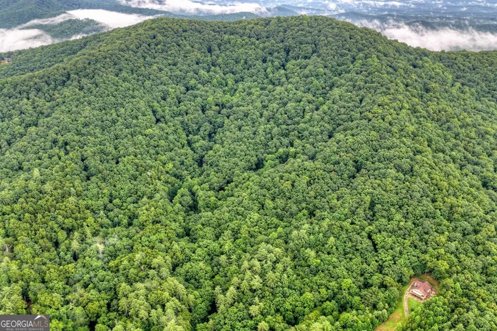 1138 Douglas Mountain TRL Ellijay, GA 30540