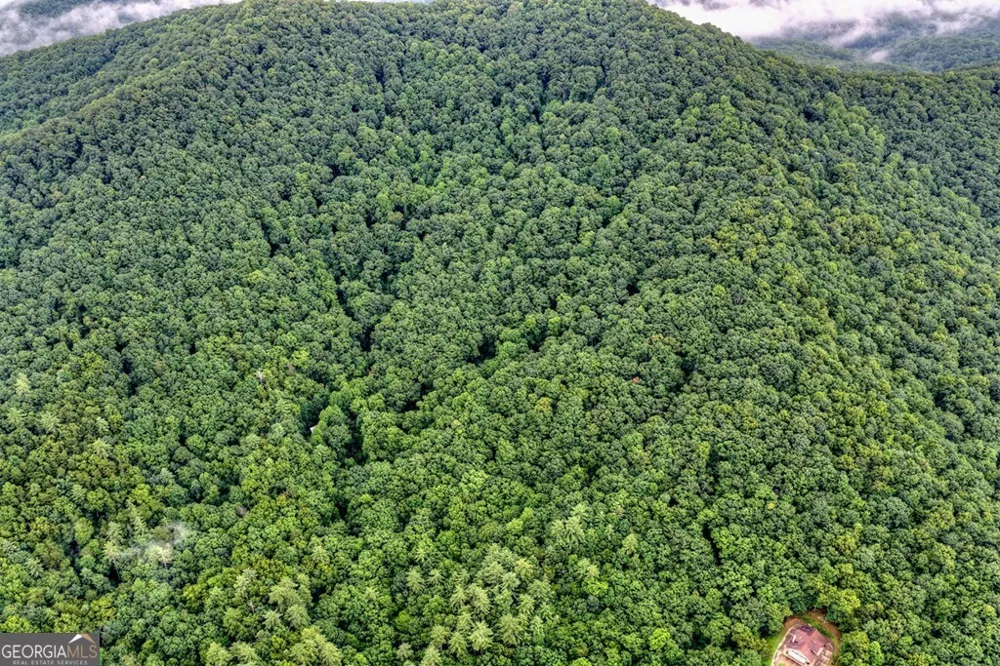 1138 Douglas Mountain TRL Ellijay, GA 30540