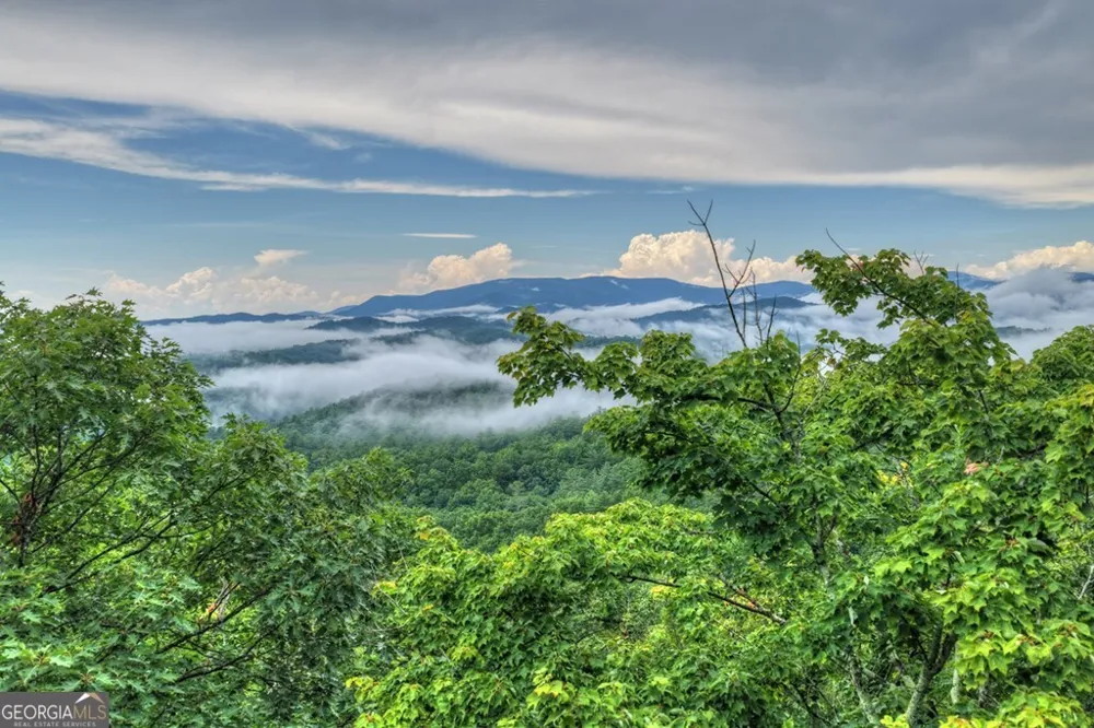 1138 Douglas Mountain TRL Ellijay, GA 30540