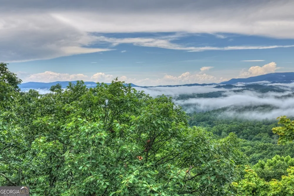 1138 Douglas Mountain TRL Ellijay, GA 30540