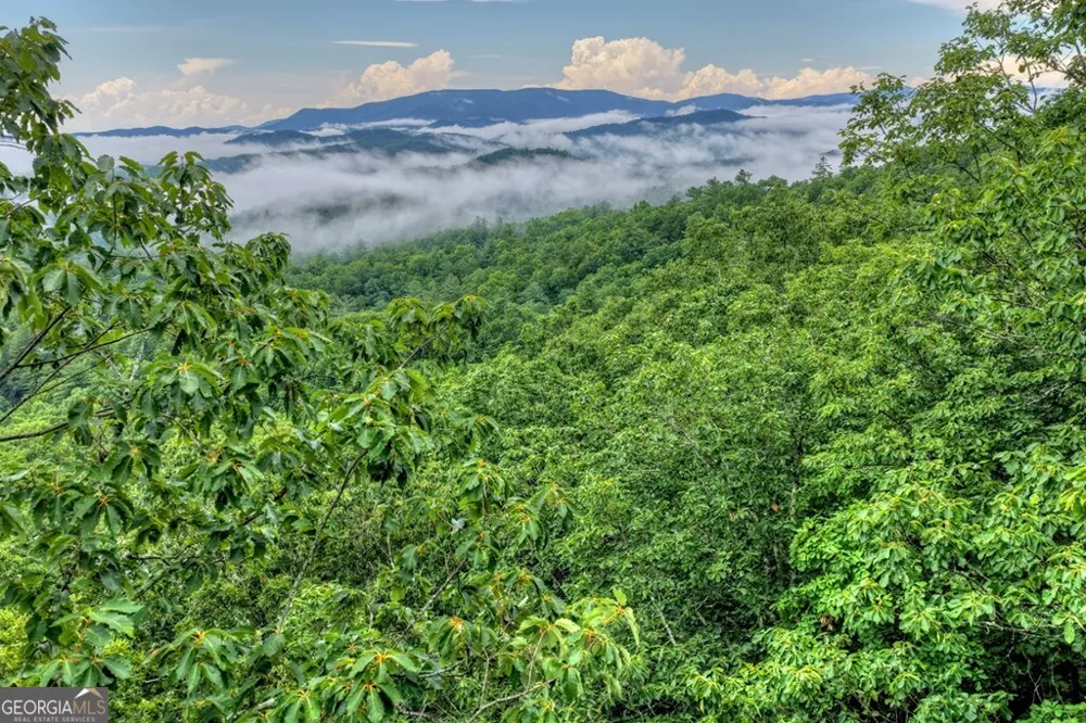 1138 Douglas Mountain TRL Ellijay, GA 30540