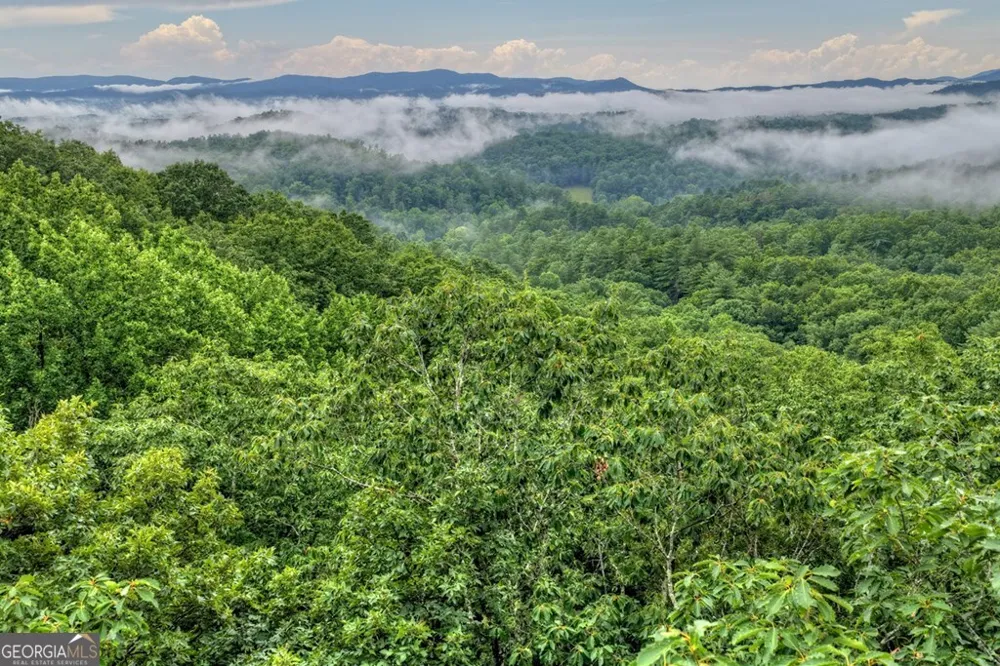 1138 Douglas Mountain TRL Ellijay, GA 30540