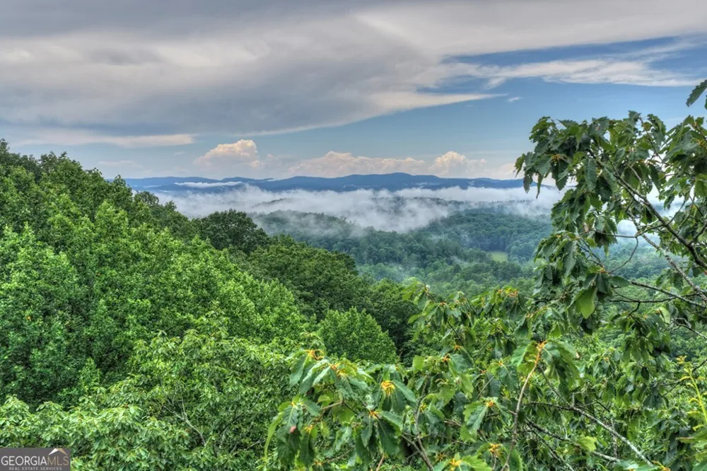 1138 Douglas Mountain TRL Ellijay, GA 30540