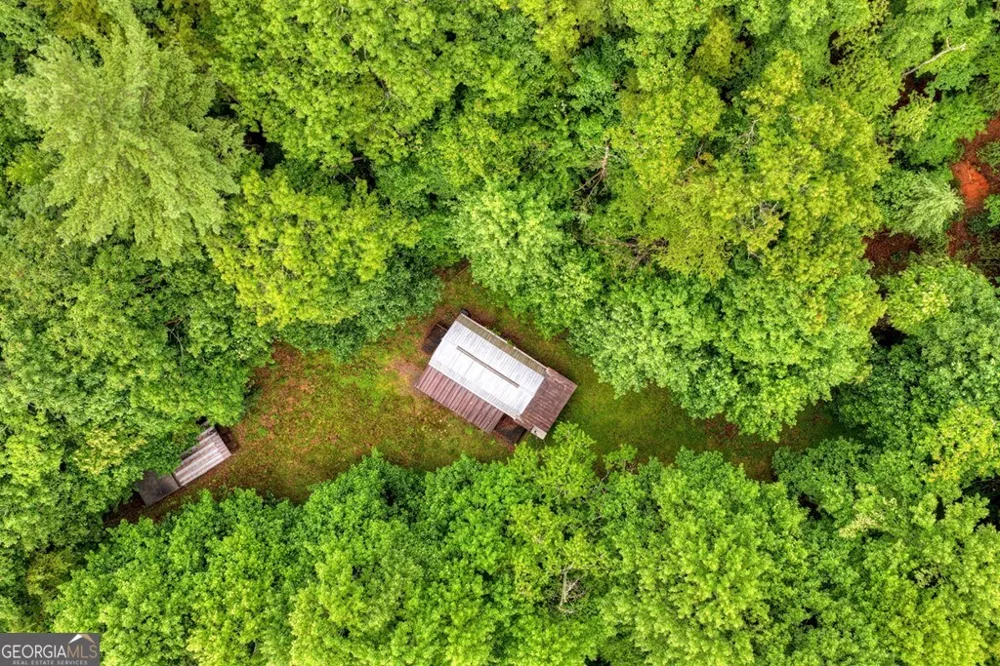 1138 Douglas Mountain TRL Ellijay, GA 30540