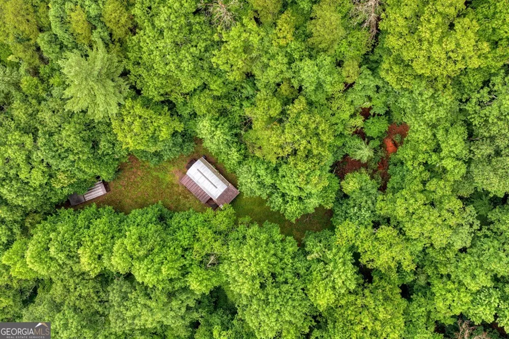 1138 Douglas Mountain TRL Ellijay, GA 30540