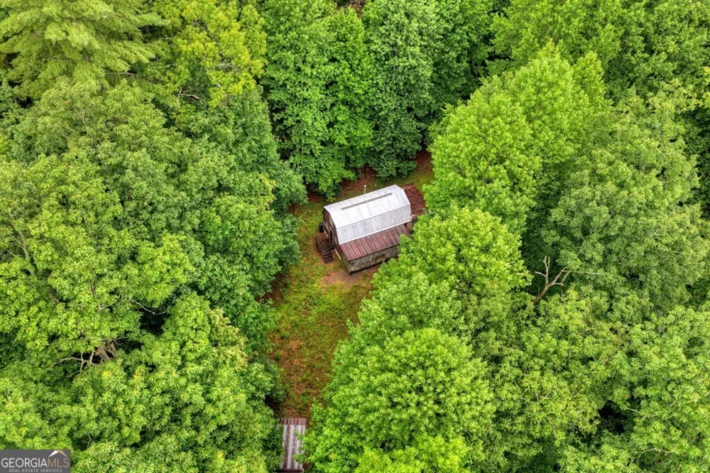 1138 Douglas Mountain TRL Ellijay, GA 30540