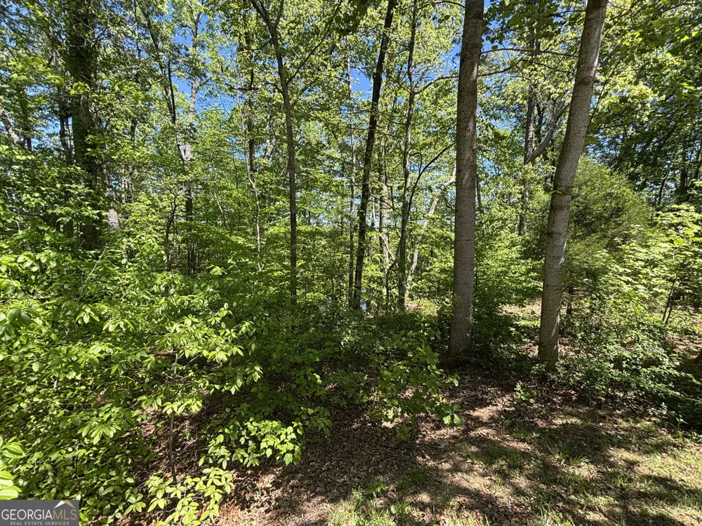 LOT 15 Cross Creek DR Toccoa, GA 30577
