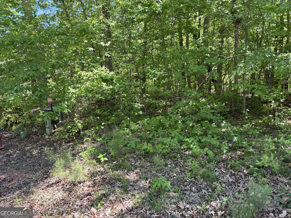 LOT 15 Cross Creek DR Toccoa, GA 30577