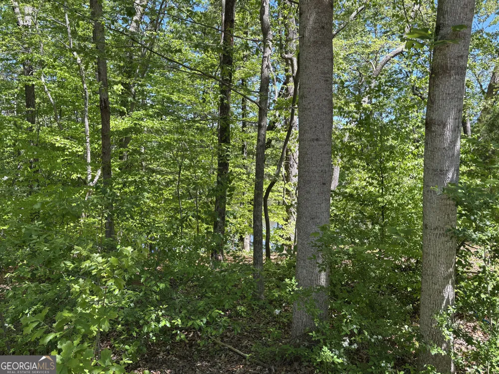 LOT 15 Cross Creek DR Toccoa, GA 30577