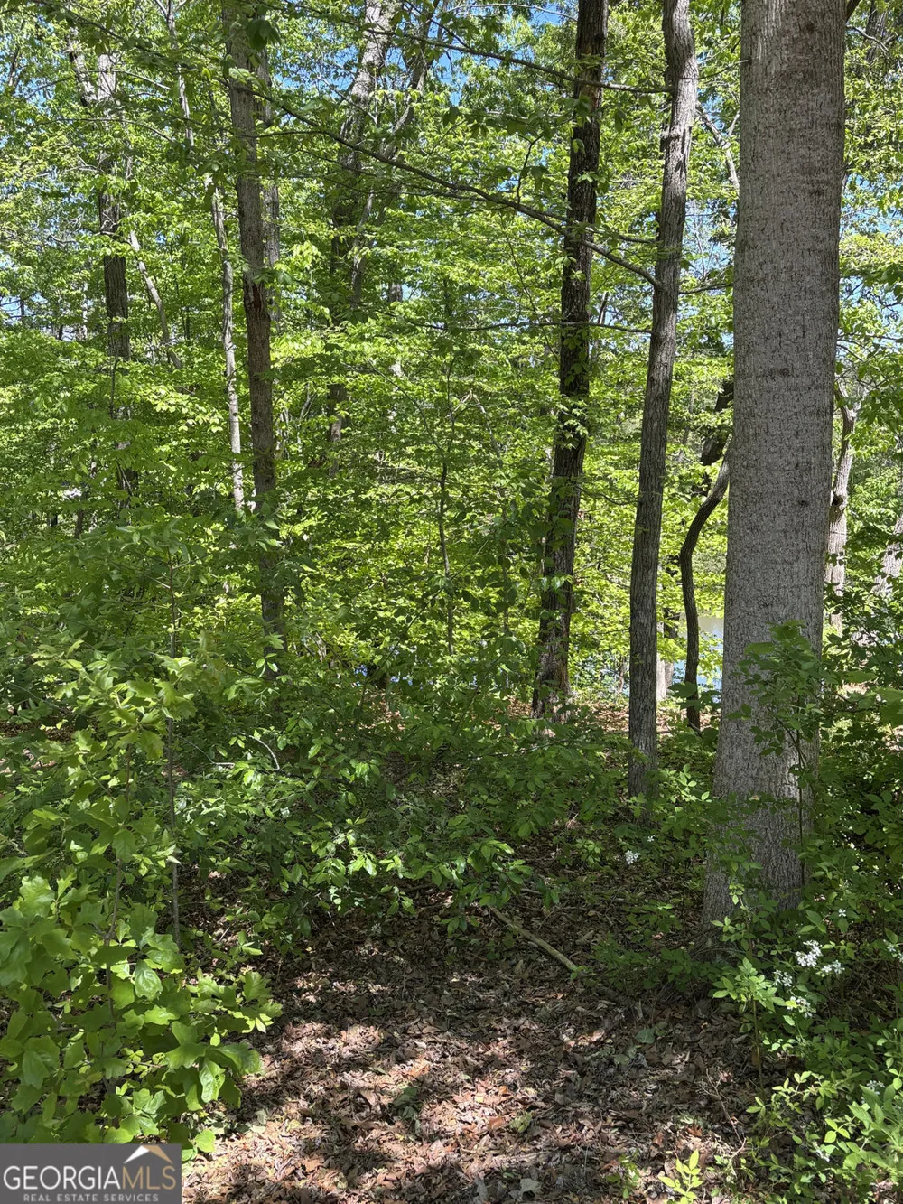 LOT 15 Cross Creek DR Toccoa, GA 30577
