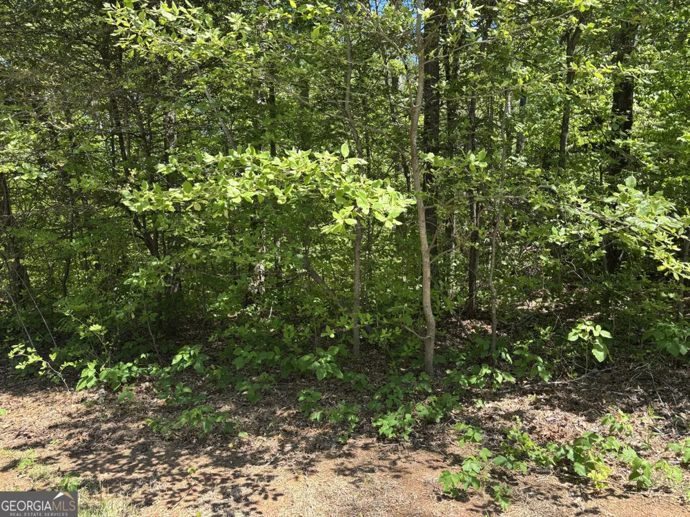 LOT 15 Cross Creek DR Toccoa, GA 30577