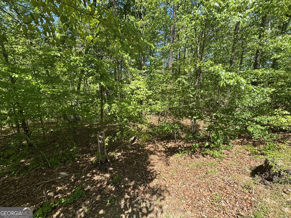 LOT 15 Cross Creek DR Toccoa, GA 30577