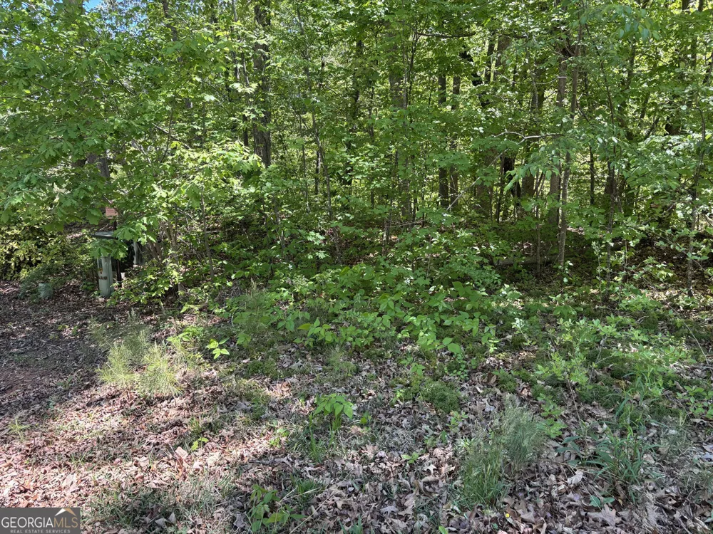 LOT 15 Cross Creek DR Toccoa, GA 30577