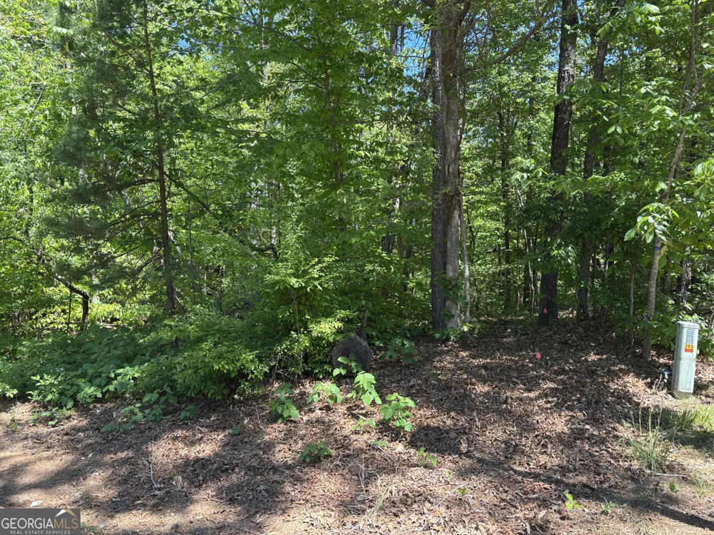 LOT 15 Cross Creek DR Toccoa, GA 30577
