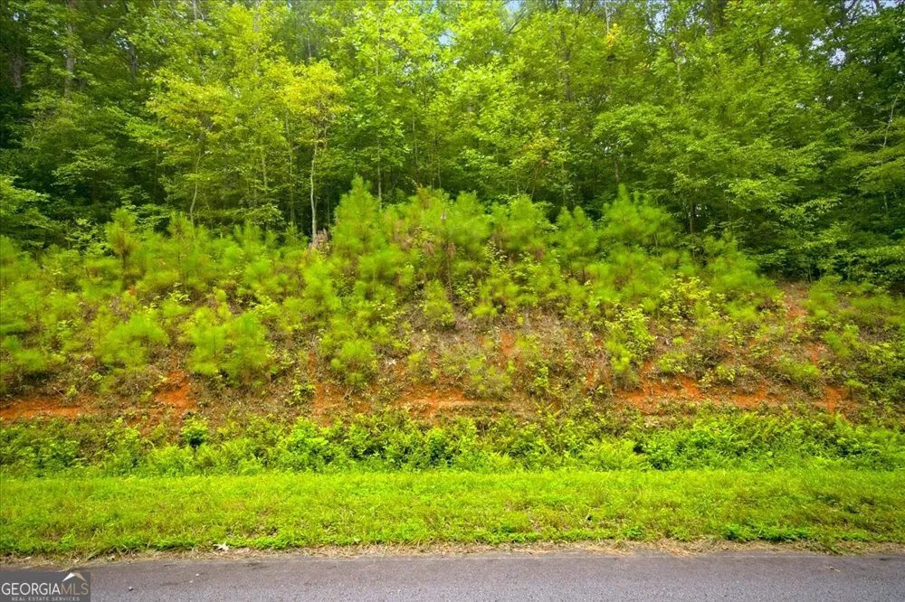 0 J C Daniell RD Carrollton, GA 30117