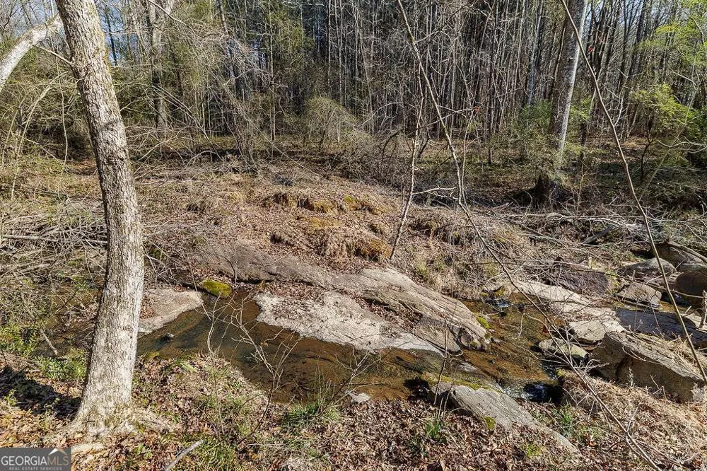 2644 Nunnally Shoals Tract 2 RD Good Hope, GA 30641