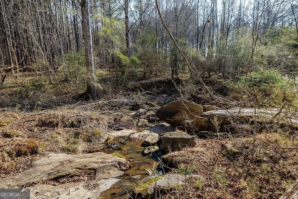 2644 Nunnally Shoals Tract 2 RD Good Hope, GA 30641