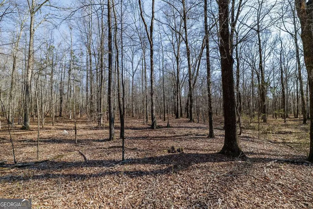 2644 Nunnally Shoals Tract 2 RD Good Hope, GA 30641