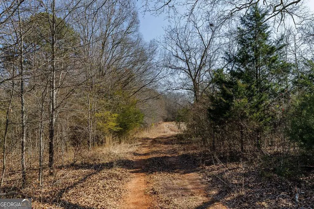2644 Nunnally Shoals Tract 2 RD Good Hope, GA 30641