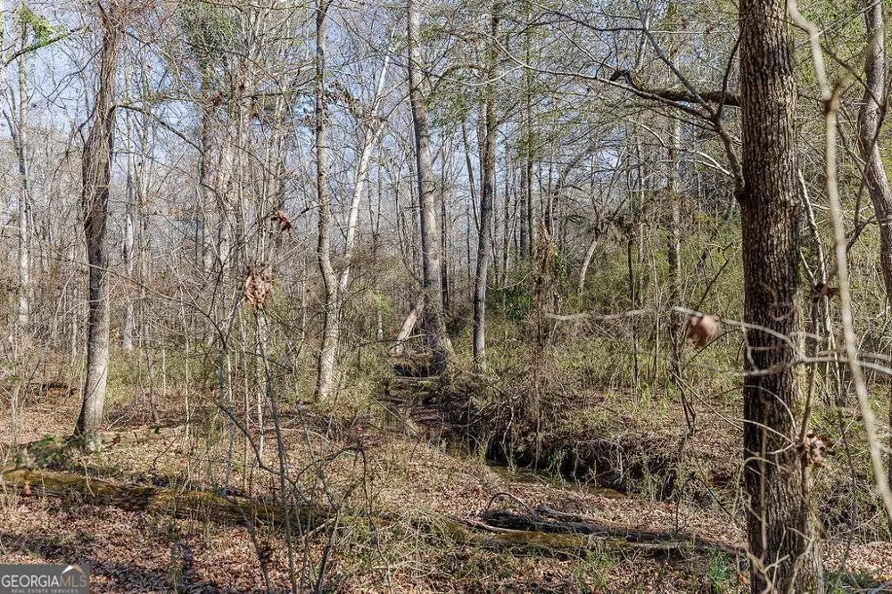 2644 Nunnally Shoals Tract 2 RD Good Hope, GA 30641